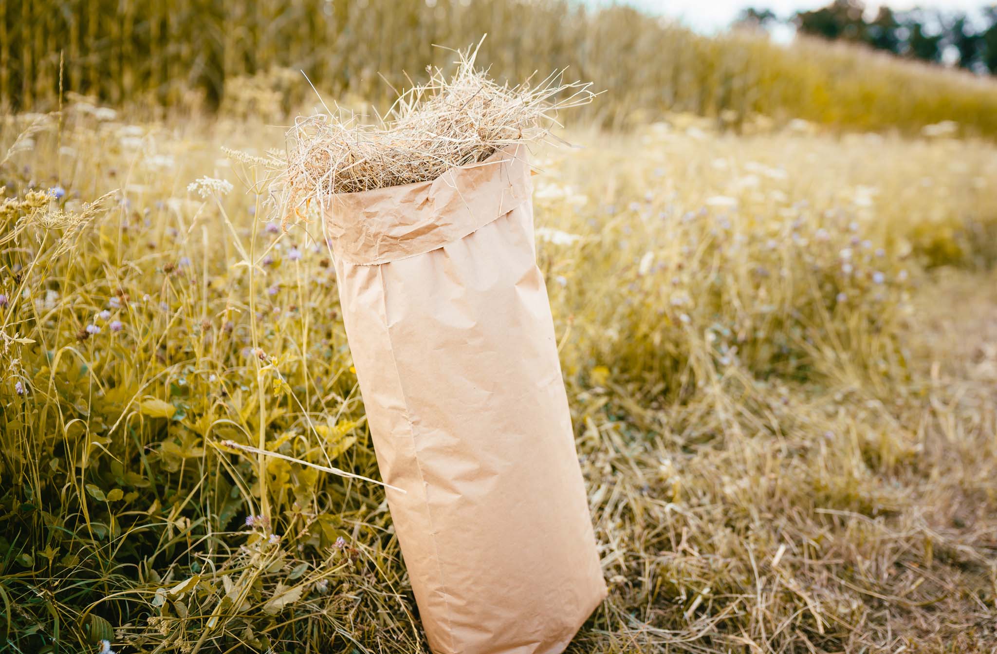 Heu_Sack Heu im Sack