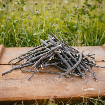 Obstbaumstoecke auf Holz