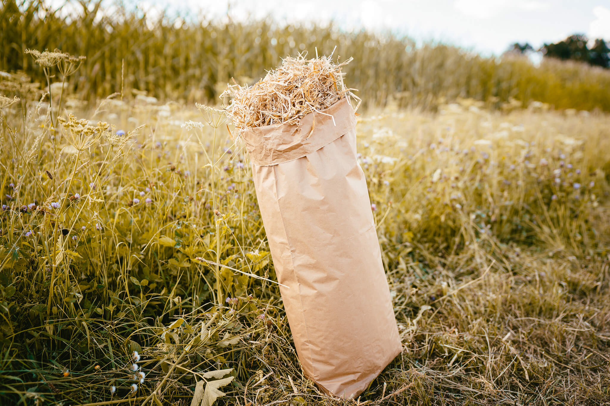 Stroh_Sack Stroh im Sack