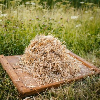 Stroh auf Holz