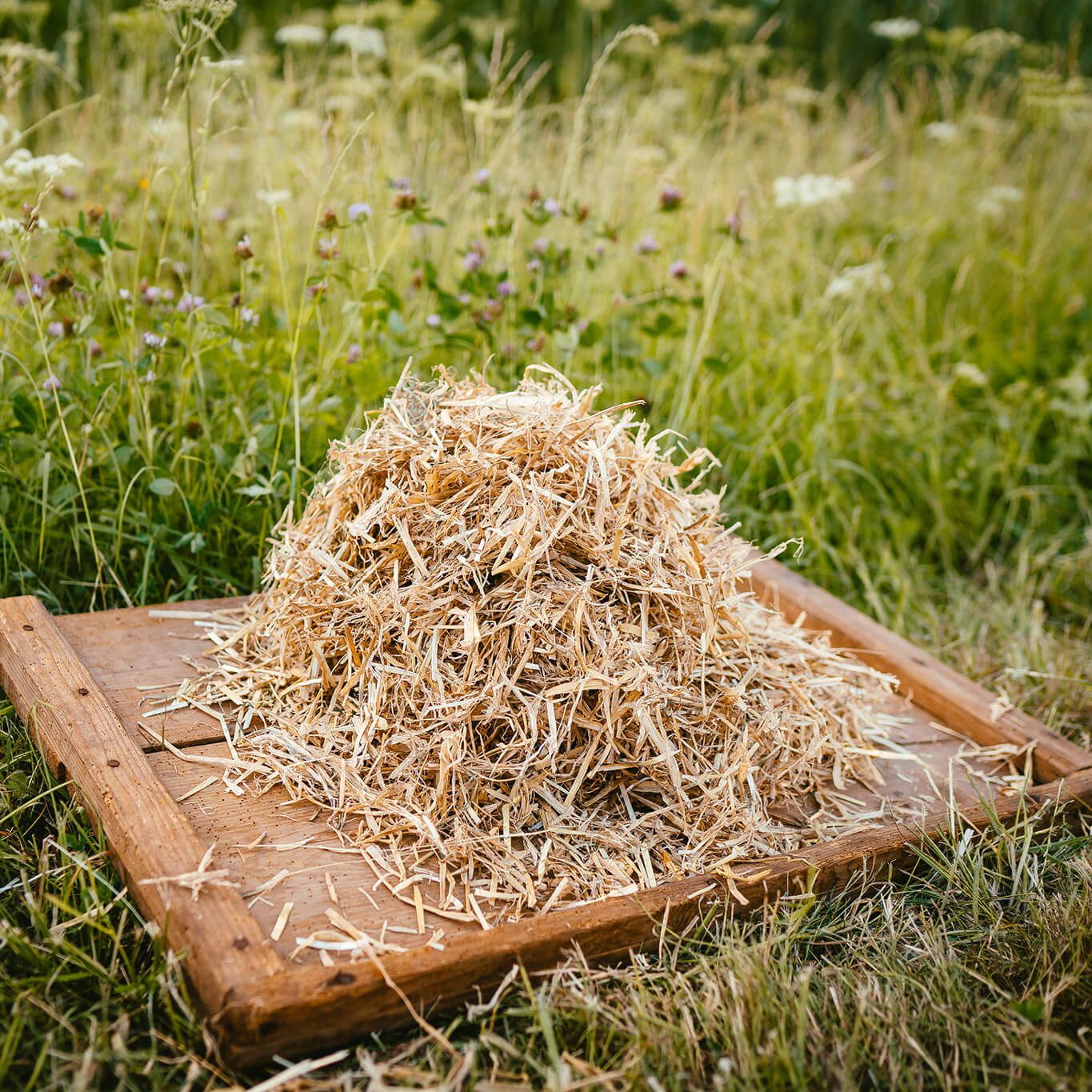 Stroh_auf_Holz Stroh auf Holz